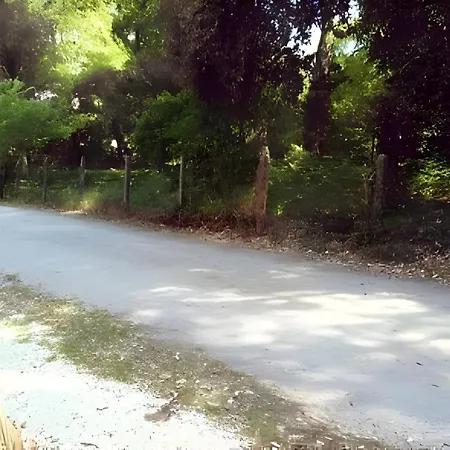 La Fourmi - Maison Avec Piscine A Nyaraló Lacanau