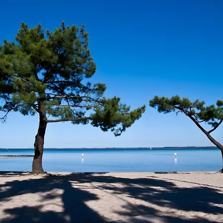 La Fourmi - Maison Avec Piscine A * Lacanau